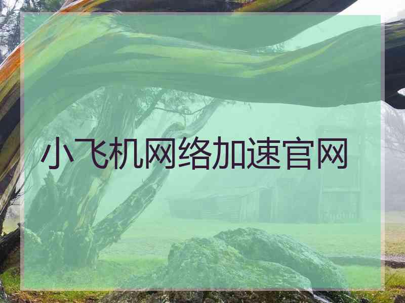 小飞机网络加速官网