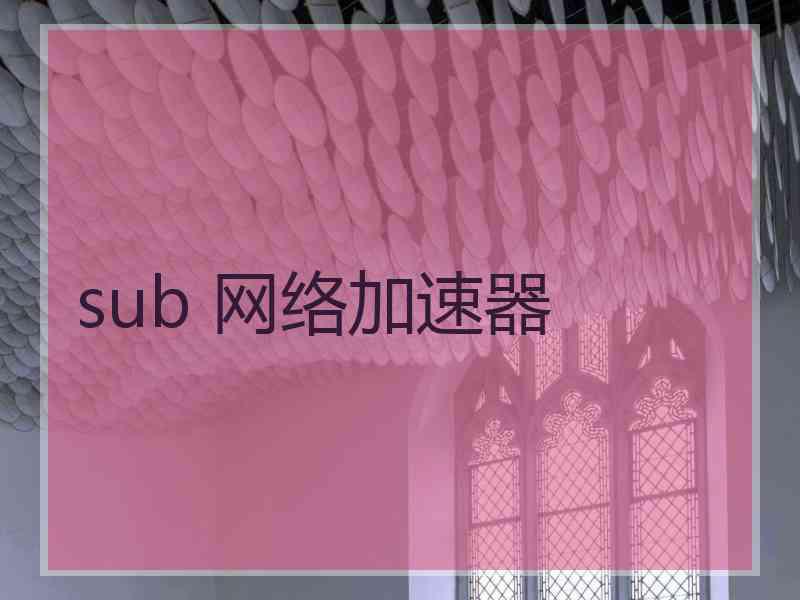 sub 网络加速器